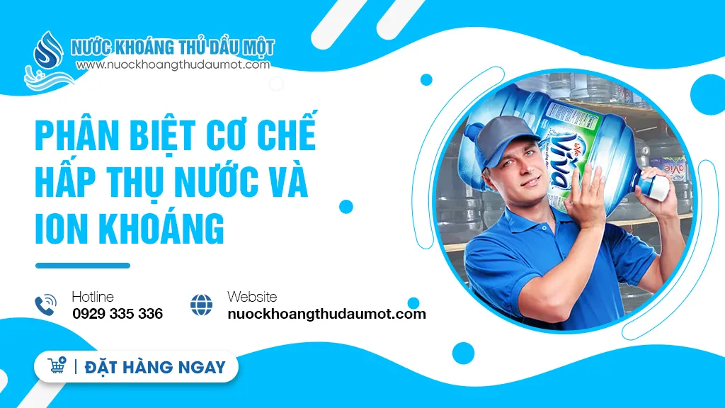 Phân biệt cơ chế hấp thụ nước và ion khoáng