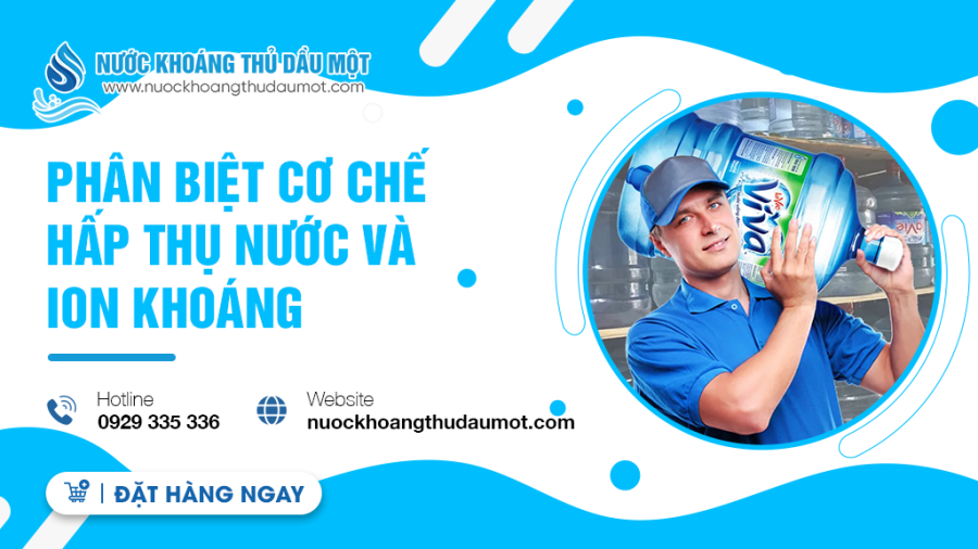 Phân biệt cơ chế hấp thụ nước và ion khoáng